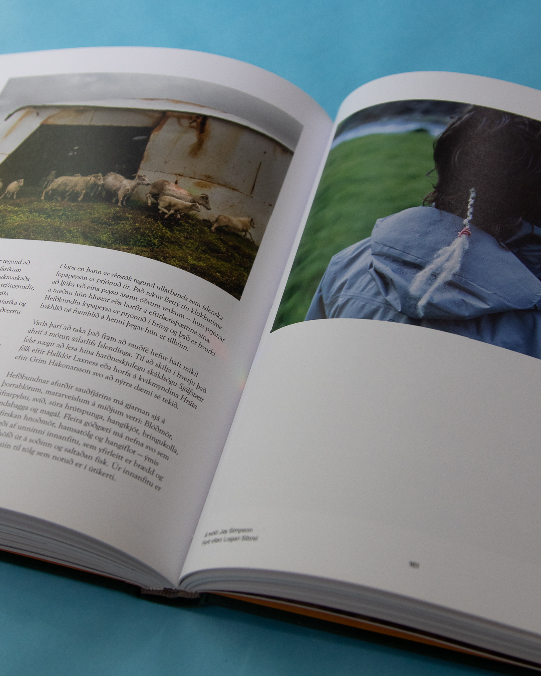 Walking & Wayfinding in the Westfjords of Iceland (4-Part Guidebook) - Image 2
